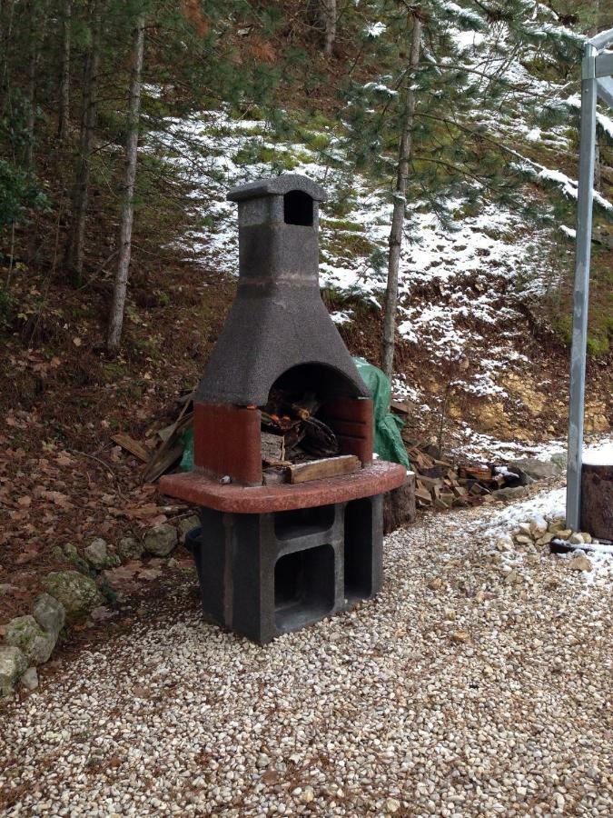 Nel Bosco LʼAquila